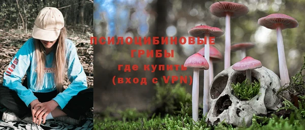 таблы Алзамай