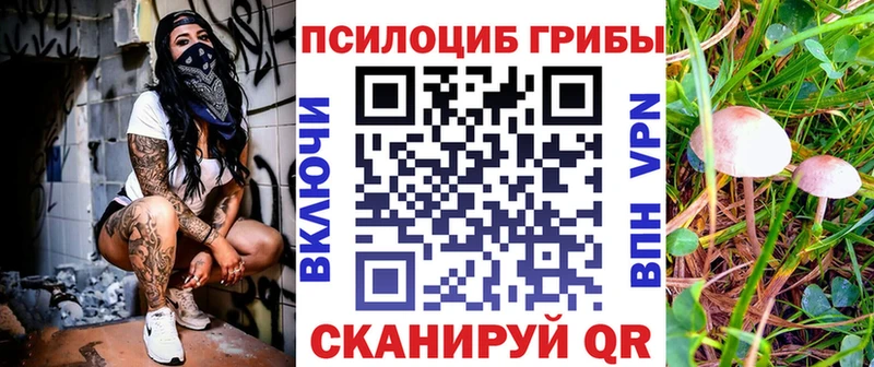 Галлюциногенные грибы Magic Shrooms  продажа наркотиков  Саки 