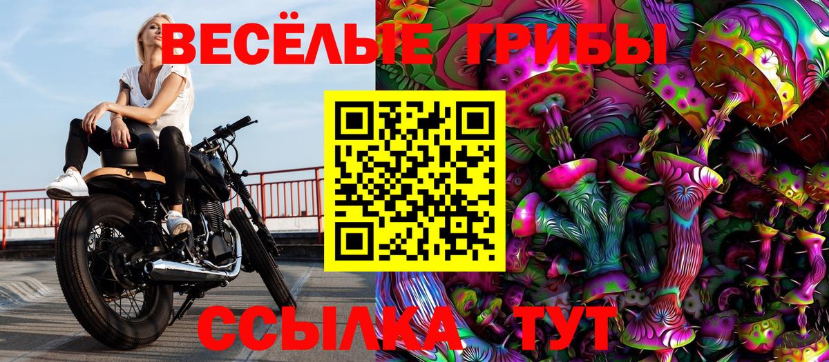 Галлюциногенные грибы Cubensis Саки