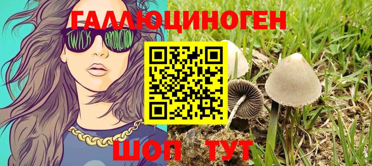 Галлюциногенные грибы GOLDEN TEACHER  Галлюциногенные грибы Psilocybe  Саки  Вход с VPN 